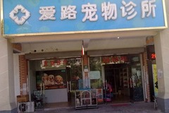 路路宠物医院(横桥路店)0