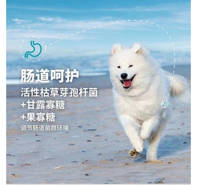 cheer share 畅享优品 无谷&海陆盛宴 全价成犬粮