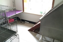34号宠物工作室2