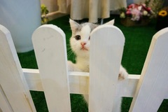 宠の屋精致生活体验馆2