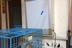 强军宠物店1