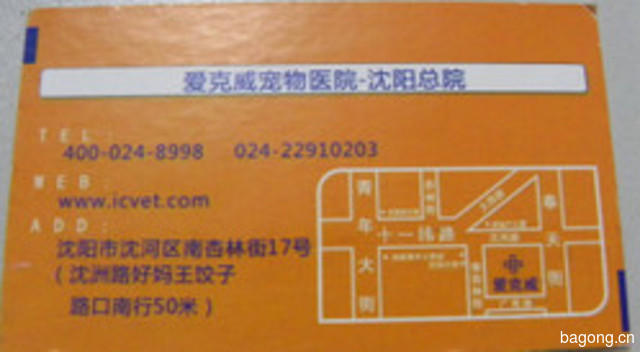 爱克威宠物医院 封面大图