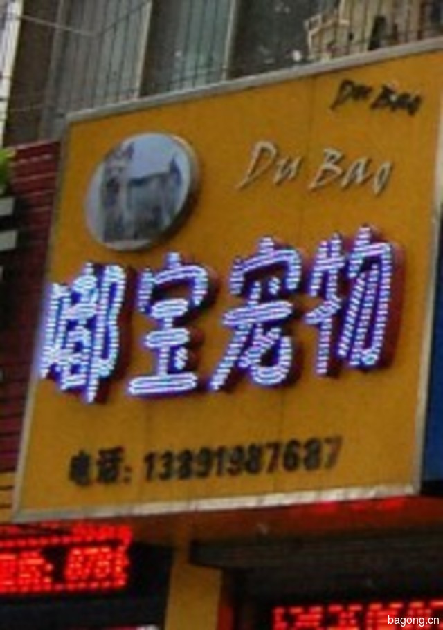 嘟宝宠物 封面大图