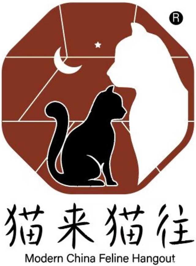 猫来猫往 封面大图