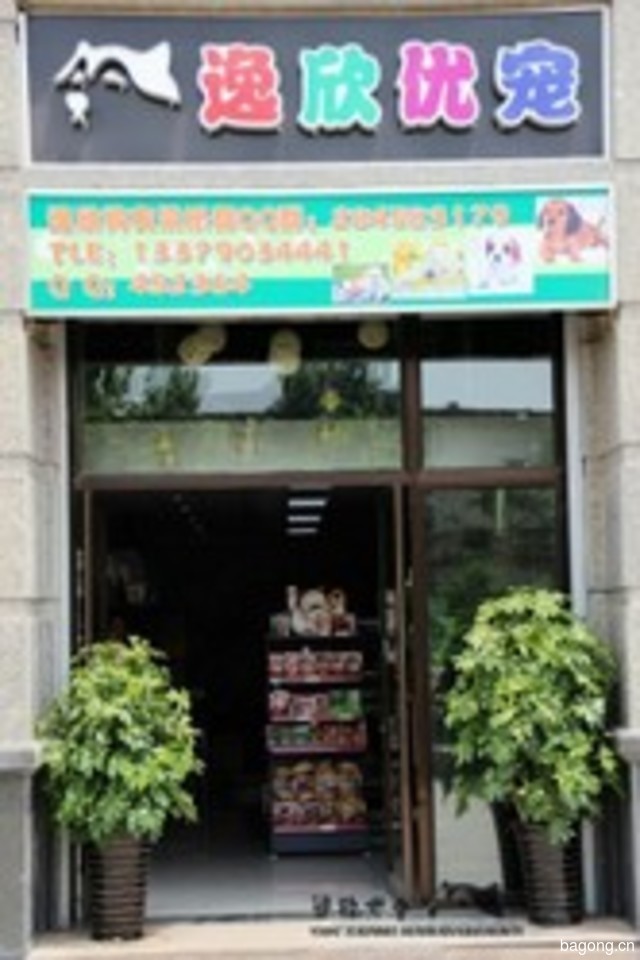 逸欣优宠 封面大图
