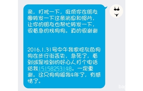 2016.1.31号中午我家棕灰色狗狗...