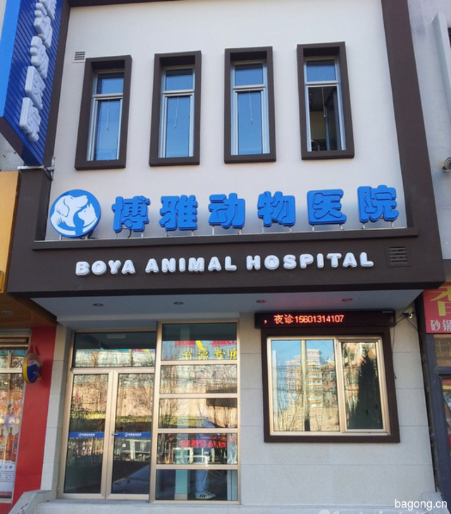北京博雅动物医院 封面大图