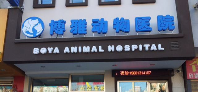北京博雅动物医院0