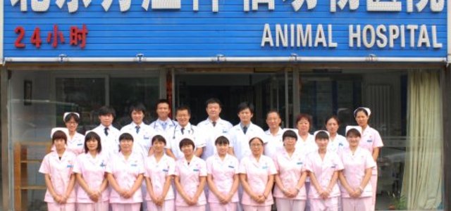 北京方庄伴侣动物医院1