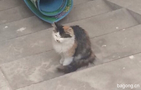 小闺女求一生主0