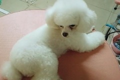 糖果盒子宠物生活会馆1
