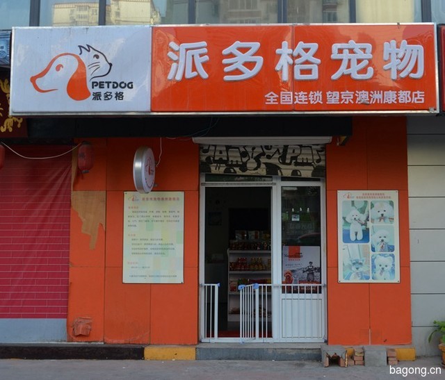 派多格望京澳洲康都店 封面大图