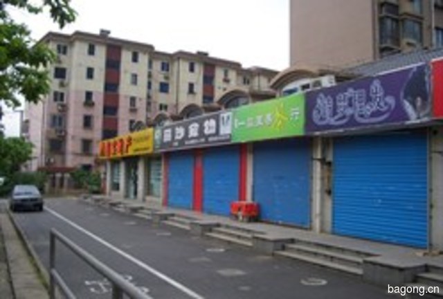 丽莎宠物(春雷店) 封面大图