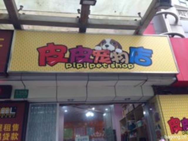 皮琪宠物店 封面大图