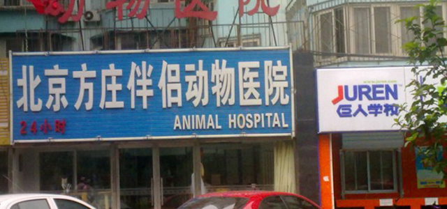 北京方庄伴侣动物医院0