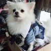 走失时穿了图片一样的衣服，如果...