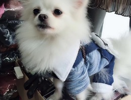 走失时穿了图片一样的衣服，如果...