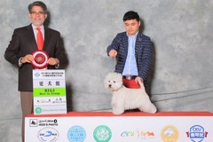 高非犬舍0