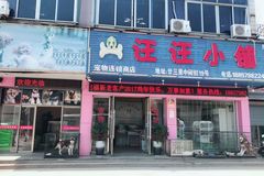 汪汪小铺宠物商店1