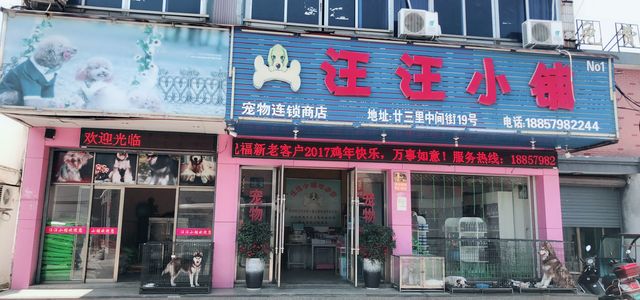 汪汪小铺宠物商店1