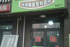 咪琪精品宠物会所1