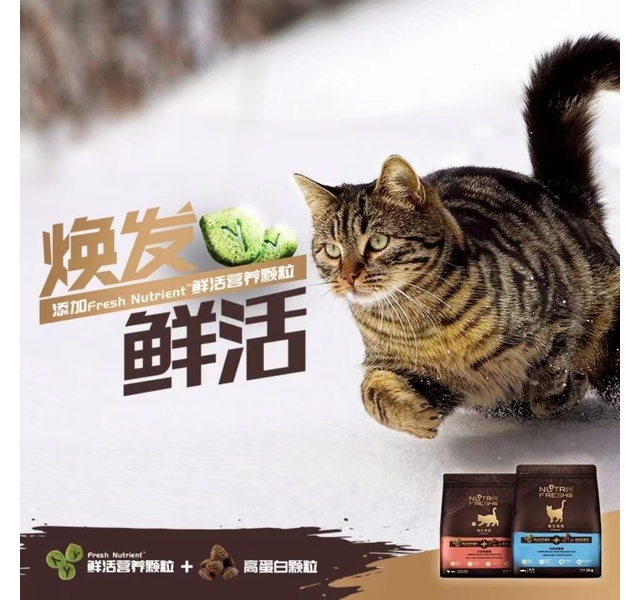 纯皓烘焙猫粮