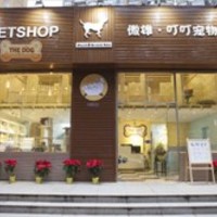 傲雄●叮叮宠物美容寄养精品店(黄浦店) 封面小图