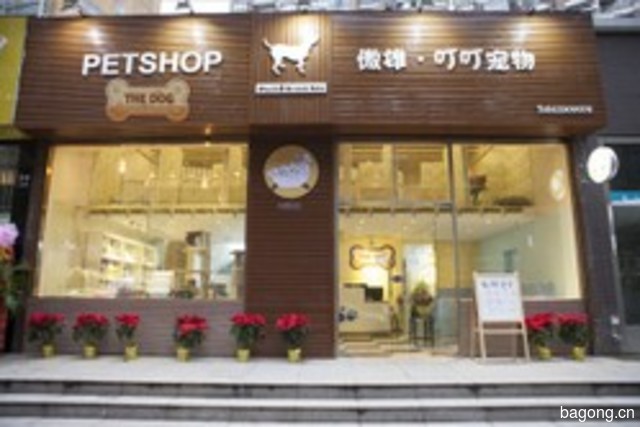 傲雄●叮叮宠物美容寄养精品店(黄浦店) 封面大图