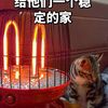 帮寺庙小猫找新家。