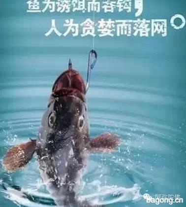 【震撼】为什么经常钓鱼的人都不长寿2
