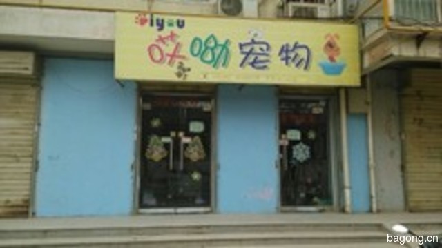 哎呦宠物生活馆 封面大图