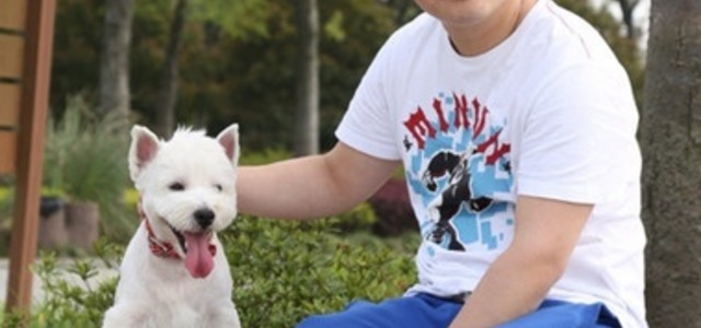 高非犬舍2