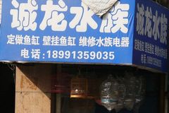 诚龙水族0