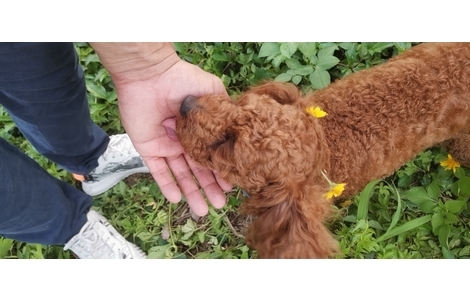 贵宾，女孩子，6月8号晚上12点在...