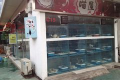 喵屋0