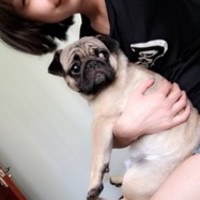 爱犬E族 封面小图