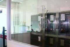 爱馨宠物医院环境4