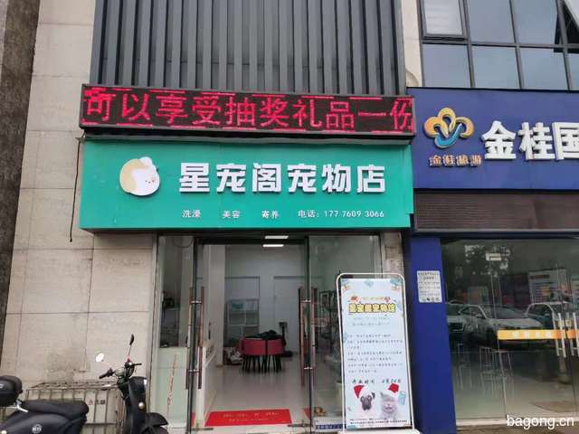 星宠阁宠物馆 封面大图