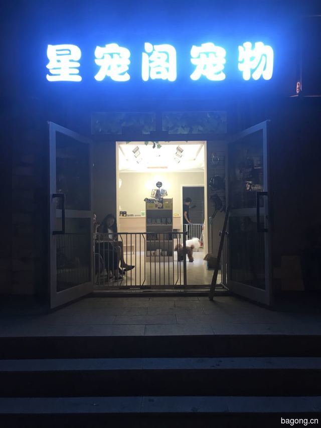 星宠阁宠物 封面大图