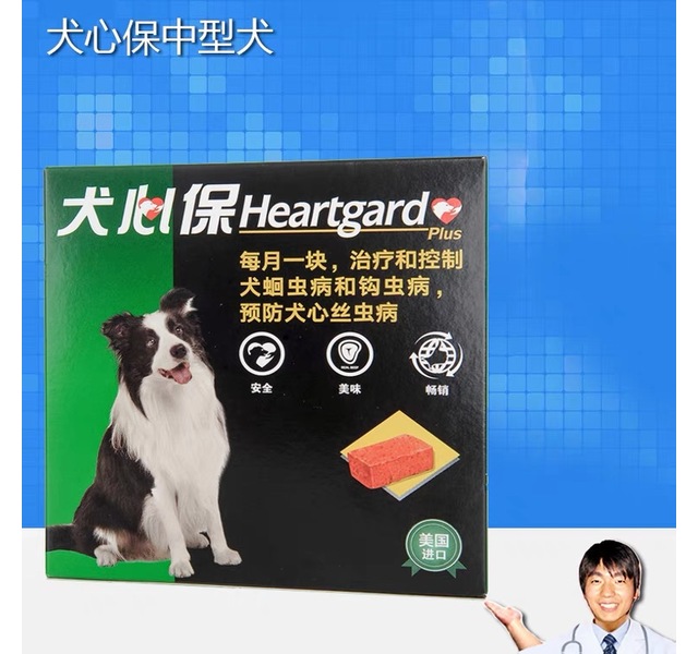 犬心保L