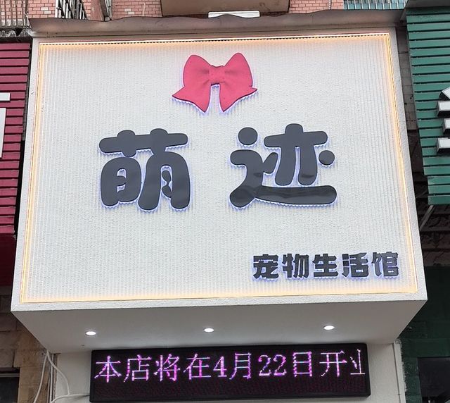 萌迹宠物生活馆 封面大图