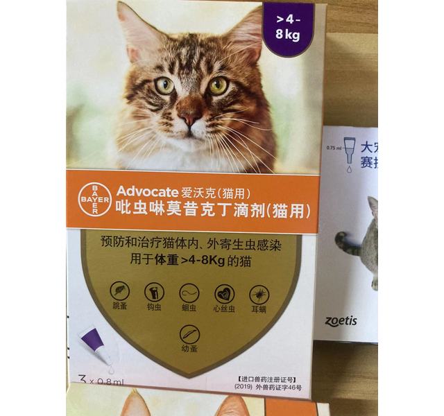 爱沃克 大猫 ＞4-8kg