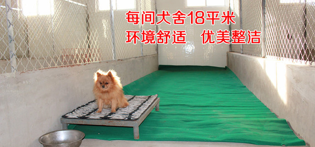 北京市俊鹏工作犬训练有限公司1