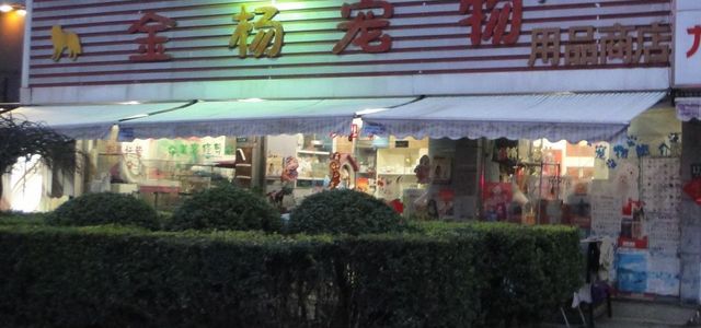 金杨宠物用品商店0