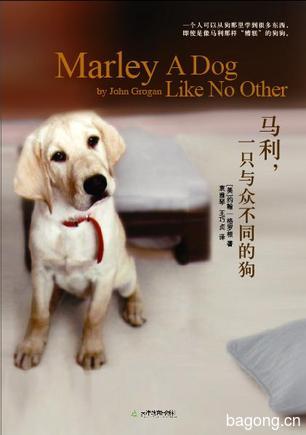 狗狗那些事儿——几部关于狗狗的小说5
