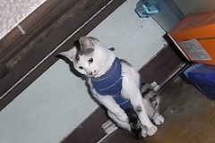 哈露宠物工作室1