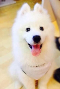 哟宝：