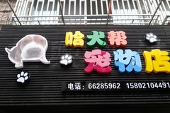 哈犬帮宠物店3