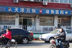 北京天泽万物动物医院0