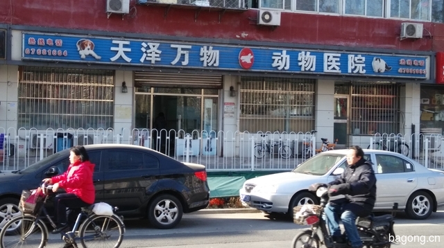 北京天泽万物动物医院 封面大图